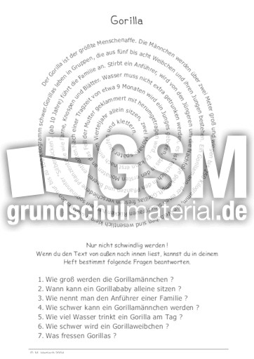 Gorilla.pdf